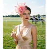 DRESHOW Fascinators Hat Tea Party Headwear Ribbons Feathers on a Headband and a Clip for Women(1 Pc: Coral Pink)