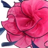 DRESHOW Fascinators Hat Tea Party Headwear Ribbons Feathers on a Headband and a Clip for Women(8.2″ / Hot Pink & Navy Blue)