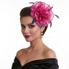 DRESHOW Fascinators Hat Tea Party Headwear Ribbons Feathers on a Headband and a Clip for Women(8.2″ / Hot Pink & Navy Blue)