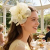 DRESHOW Fascinators Hat Tea Party Headwear Ribbons Feathers on a Headband and a Clip for Women(Beige)