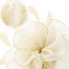 DRESHOW Fascinators Hat Tea Party Headwear Ribbons Feathers on a Headband and a Clip for Women(Beige)