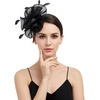 DRESHOW Fascinators Hat Tea Party Headwear Ribbons Feathers on a Headband and a Clip for Women(Black)