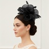 DRESHOW Fascinators Hat Tea Party Headwear Ribbons Feathers on a Headband and a Clip for Women(Black)