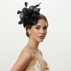 DRESHOW Fascinators Hat Tea Party Headwear Ribbons Feathers on a Headband and a Clip for Women(Black)