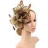 DRESHOW Fascinators Hat Tea Party Headwear Ribbons Feathers on a Headband and a Clip for Women(Brown)