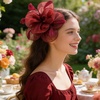 DRESHOW Fascinators Hat Tea Party Headwear Ribbons Feathers on a Headband and a Clip for Women(Burgundy)