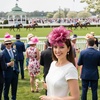 DRESHOW Fascinators Hat Tea Party Headwear Ribbons Feathers on a Headband and a Clip for Women(Deep Purple)