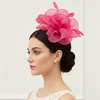 DRESHOW Fascinators Hat Tea Party Headwear Ribbons Feathers on a Headband and a Clip for Women(Deeppink)