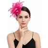 DRESHOW Fascinators Hat Tea Party Headwear Ribbons Feathers on a Headband and a Clip for Women(Deeppink)