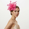 DRESHOW Fascinators Hat Tea Party Headwear Ribbons Feathers on a Headband and a Clip for Women(Deeppink)