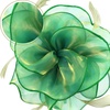 DRESHOW Fascinators Hat Tea Party Headwear Ribbons Feathers on a Headband and a Clip for Women(Emerald Green)