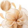 DRESHOW Fascinators Hat Tea Party Headwear Ribbons Feathers on a Headband and a Clip for Women(Gold)