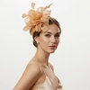 DRESHOW Fascinators Hat Tea Party Headwear Ribbons Feathers on a Headband and a Clip for Women(Gold)