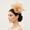DRESHOW Fascinators Hat Tea Party Headwear Ribbons Feathers on a Headband and a Clip for Women(Gold)
