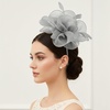 DRESHOW Fascinators Hat Tea Party Headwear Ribbons Feathers on a Headband and a Clip for Women(Gray)