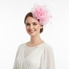 DRESHOW Fascinators Hat Tea Party Headwear Ribbons Feathers on a Headband and a Clip for Women(Light Pink)