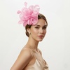 DRESHOW Fascinators Hat Tea Party Headwear Ribbons Feathers on a Headband and a Clip for Women(Light Pink)