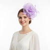 DRESHOW Fascinators Hat Tea Party Headwear Ribbons Feathers on a Headband and a Clip for Women(Light Purple)