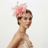 DRESHOW Fascinators Hat Tea Party Headwear Ribbons Feathers on a Headband and a Clip for Women(Pale Pink)