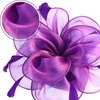 DRESHOW Fascinators Hat Tea Party Headwear Ribbons Feathers on a Headband and a Clip for Women(Purple)