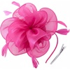 DRESHOW Fascinators Hat Tea Party Headwear Ribbons Feathers on a Headband and a Clip for Women(Deeppink)
