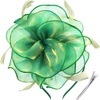 DRESHOW Fascinators Hat Tea Party Headwear Ribbons Feathers on a Headband and a Clip for Women(Emerald Green)