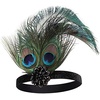 DRESHOW 1920s Great Gatsby Accessories for Women Flapper Headpiece Headband Gloves Costume Harlem Nights Accessories Set(1920s Gatsby Peacock Feather  Emerald Set)