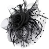 DRESHOW Fascinators Hat Flower Mesh Ribbons Feathers on a Headband and a Clip Tea Party Headwear for Girls and Women(7″ Black + Necklace+ Earrings+ Bracelet)