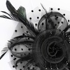 DRESHOW Fascinators Hat Flower Mesh Ribbons Feathers on a Headband and a Clip Tea Party Headwear for Girls and Women(7″ Black + Necklace+ Earrings+ Bracelet)