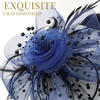 DRESHOW Fascinators Hat Flower Mesh Ribbons Feathers on a Headband and a Clip Tea Party Headwear for Girls and Women(7″ Diameter / Black & Blue)