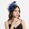 DRESHOW Fascinators Hat Flower Mesh Ribbons Feathers on a Headband and a Clip Tea Party Headwear for Girls and Women(7″ Diameter / Black & Blue)