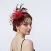 DRESHOW Fascinators Hat Flower Mesh Ribbons Feathers on a Headband and a Clip Tea Party Headwear for Girls and Women(7″ Diameter / Black & Red)