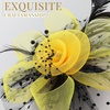 DRESHOW Fascinators Hat Flower Mesh Ribbons Feathers on a Headband and a Clip Tea Party Headwear for Girls and Women(7″ Diameter / Black & Yellow)