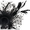 DRESHOW Fascinators Hat Flower Mesh Ribbons Feathers on a Headband and a Clip Tea Party Headwear for Girls and Women(7″ Diameter / Black)