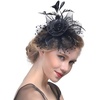 DRESHOW Fascinators Hat Flower Mesh Ribbons Feathers on a Headband and a Clip Tea Party Headwear for Girls and Women(7″ Diameter / Black)