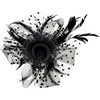 DRESHOW Fascinators Hat Flower Mesh Ribbons Feathers on a Headband and a Clip Tea Party Headwear for Girls and Women(7″ Diameter / Black)