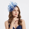 DRESHOW Fascinators Hat Flower Mesh Ribbons Feathers on a Headband and a Clip Tea Party Headwear for Girls and Women(7″ Diameter / Blue & Light Blue)