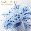 DRESHOW Fascinators Hat Flower Mesh Ribbons Feathers on a Headband and a Clip Tea Party Headwear for Girls and Women(7″ Diameter / Blue & Light Blue)