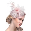 DRESHOW Fascinators Hat Flower Mesh Ribbons Feathers on a Headband and a Clip Tea Party Headwear for Girls and Women(7″ Diameter / Blush Pink)