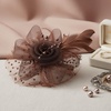 DRESHOW Fascinators Hat Flower Mesh Ribbons Feathers on a Headband and a Clip Tea Party Headwear for Girls and Women(7″ Diameter / Brown)