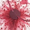 DRESHOW Fascinators Hat Flower Mesh Ribbons Feathers on a Headband and a Clip Tea Party Headwear for Girls and Women(7″ Diameter / Burgundy)