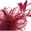DRESHOW Fascinators Hat Flower Mesh Ribbons Feathers on a Headband and a Clip Tea Party Headwear for Girls and Women(7″ Diameter / Burgundy)
