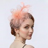 DRESHOW Fascinators Hat Flower Mesh Ribbons Feathers on a Headband and a Clip Tea Party Headwear for Girls and Women(7″ Diameter / Champagne)