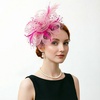 DRESHOW Fascinators Hat Flower Mesh Ribbons Feathers on a Headband and a Clip Tea Party Headwear for Girls and Women(7″ Diameter / Dark Pink & Light Pink)