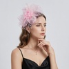 DRESHOW Fascinators Hat Flower Mesh Ribbons Feathers on a Headband and a Clip Tea Party Headwear for Girls and Women(7″ Diameter / Dusty Pink)