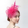 DRESHOW Fascinators Hat Flower Mesh Ribbons Feathers on a Headband and a Clip Tea Party Headwear for Girls and Women(7″ Diameter / Fuschia)