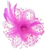 DRESHOW Fascinators Hat Flower Mesh Ribbons Feathers on a Headband and a Clip Tea Party Headwear for Girls and Women(7″ Diameter / Fushia)