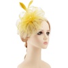 DRESHOW Fascinators Hat Flower Mesh Ribbons Feathers on a Headband and a Clip Tea Party Headwear for Girls and Women(7″ Diameter / Ginger)