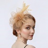 DRESHOW Fascinators Hat Flower Mesh Ribbons Feathers on a Headband and a Clip Tea Party Headwear for Girls and Women(7″ Diameter / Gold)