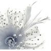 DRESHOW Fascinators Hat Flower Mesh Ribbons Feathers on a Headband and a Clip Tea Party Headwear for Girls and Women(7″ Diameter / Grey)